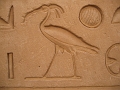 0903050045