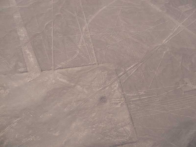0806190020.JPG - Day 13, Thursday, June 19, Nazca Lines.