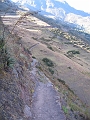 0806080071