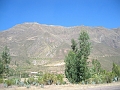 0806090013