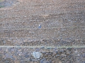 0806090060