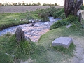 0806090062