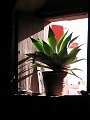 0806170038