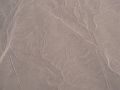 0806190015