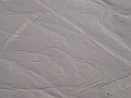 0806190029