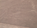 0806190031