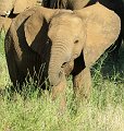 day02IMG_0147