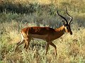day02IMG_0153