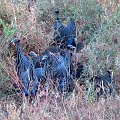 day02IMG_0171