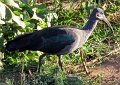 day02IMG_0201