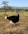 day02IMG_0233