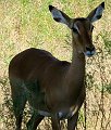 day02IMG_0261
