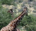 day02IMG_1923