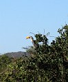 day02IMG_1990