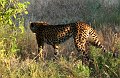 day02IMG_2022