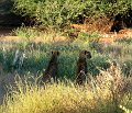 day02IMG_2050