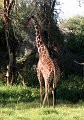 day02IMG_2097