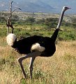 day02IMG_2104