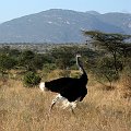 day02IMG_2117