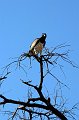 day02IMG_2172