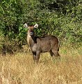 day02IMG_2184