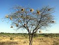 day03IMG_0289
