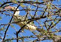 day03IMG_0290