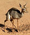 day03IMG_0295