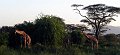 day03IMG_2277