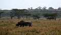 day04IMG_2316