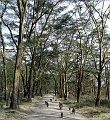 day04IMG_2390