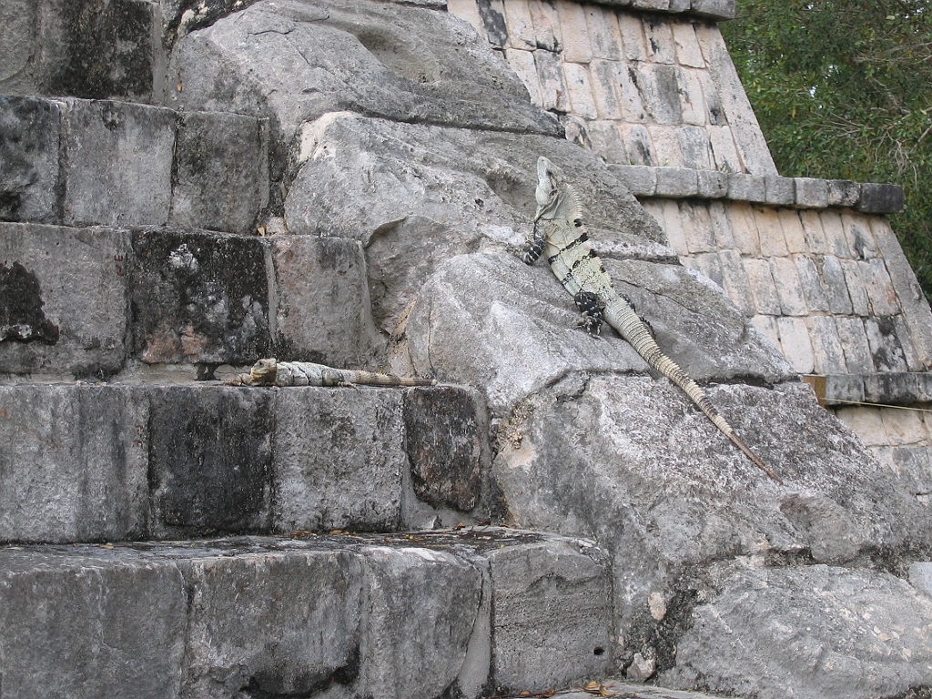 0703090102.JPG